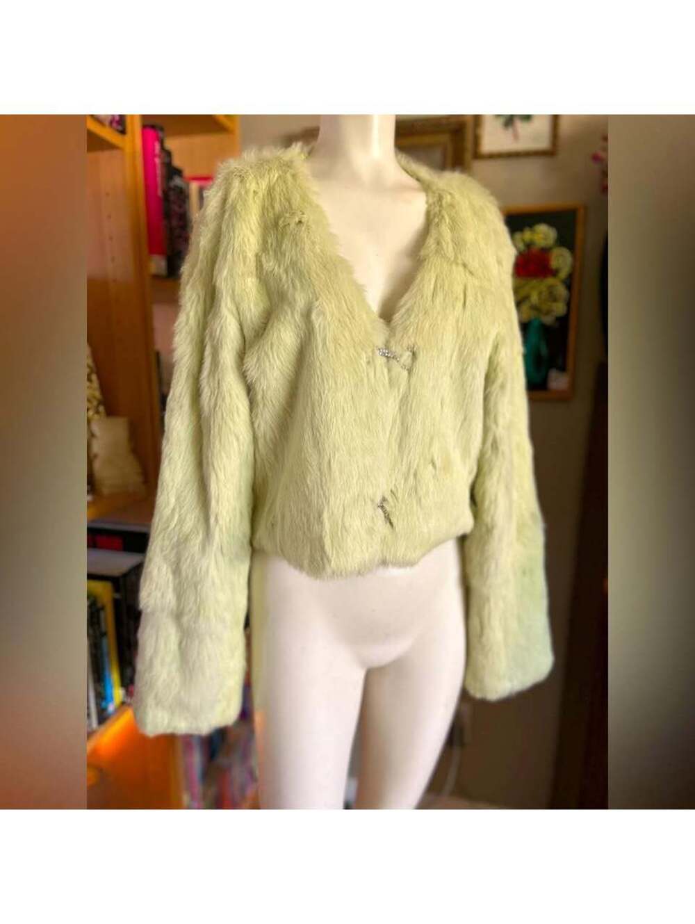 Women's Faux Fur Jacket in Light Green cropped